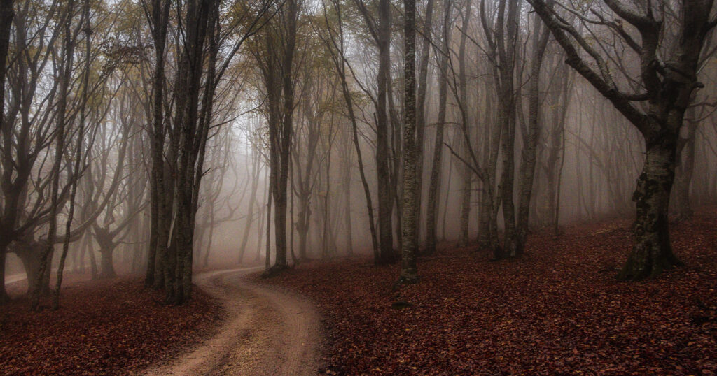 Riserva Naturale Monte San Vicino e Monte Canfaito una mattina di fine ottobre, quando la nebbia dirada i contorni e ti permette di immaginarti ovunque. Foto di Alessandro Picchio